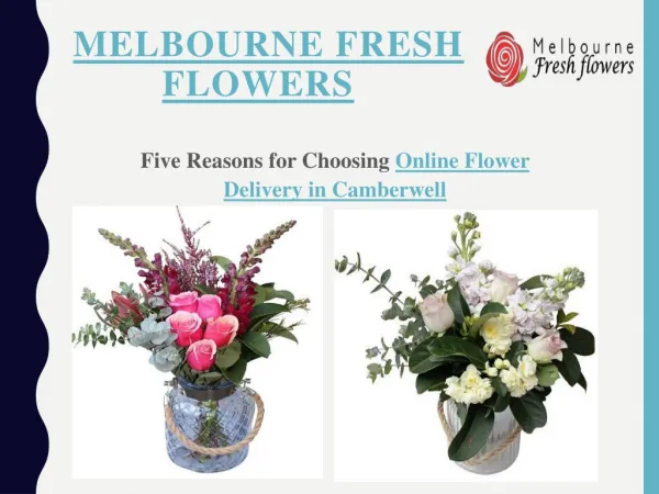 Choose best Online Florist Market in Camberwell - Melbourne fresh Flowers