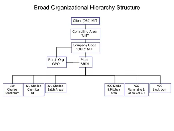 Broad Organizational Hierarchy Structure