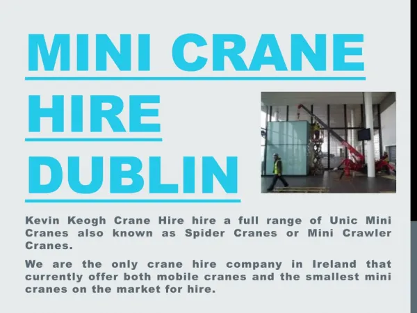 Mini Crane Hire Dublin