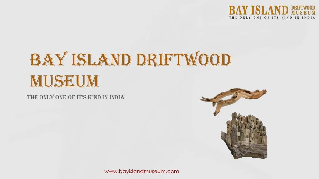bay island driftwood museum