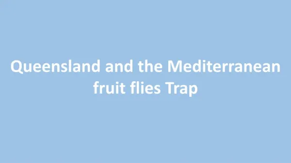 Queensland and the Mediterranean fruit flies Trap
