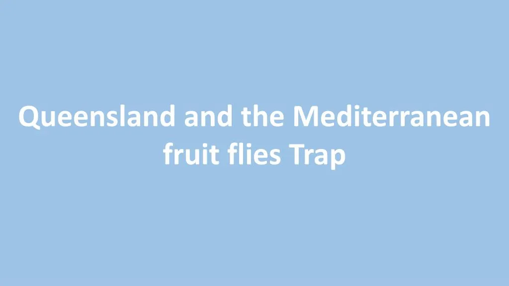 queensland and the mediterranean fruit flies trap