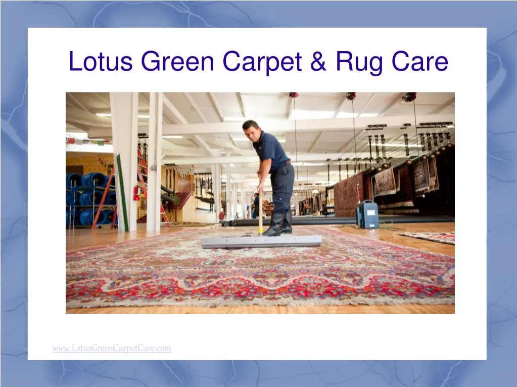 lotus green carpet rug care