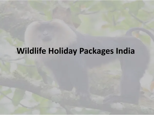 Wildlife Holiday Packages India