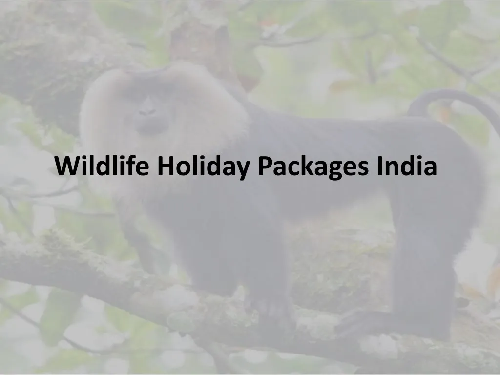 wildlife holiday packages india