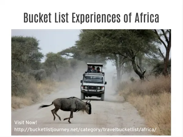 Bucket List Experiences of Africa