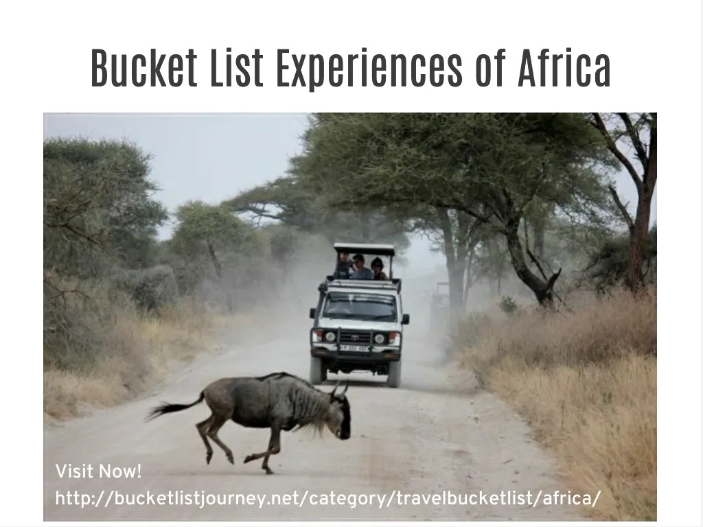 bucket list experiences of africa bucket list