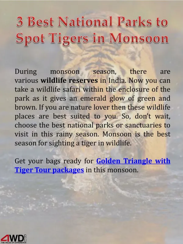 3 Best National Parks to Spot Tigers in Monsoon