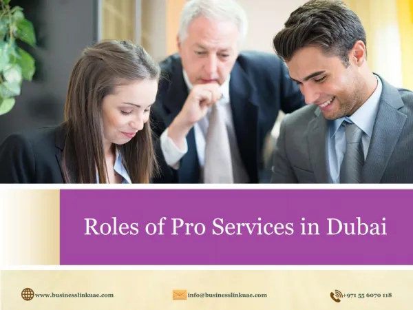 Roles of PRO Services in Dubai