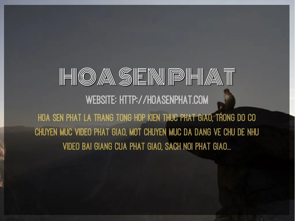 hoa sen phat website http hoasenphat com