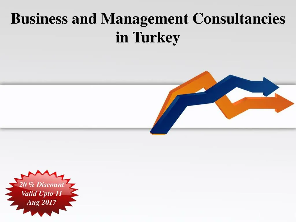 business and management consultancies in turkey