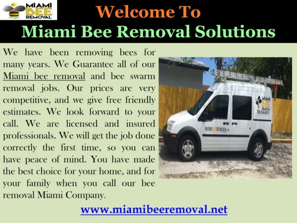 Bee Removal in Miami