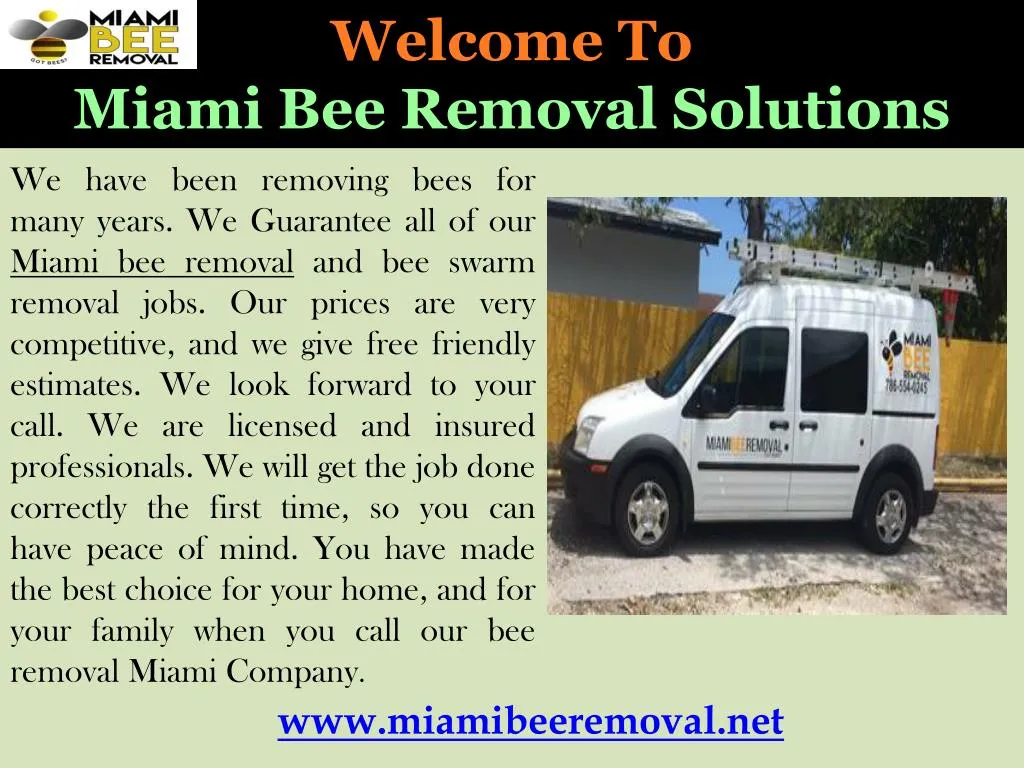 welcome to miami bee removal solutions