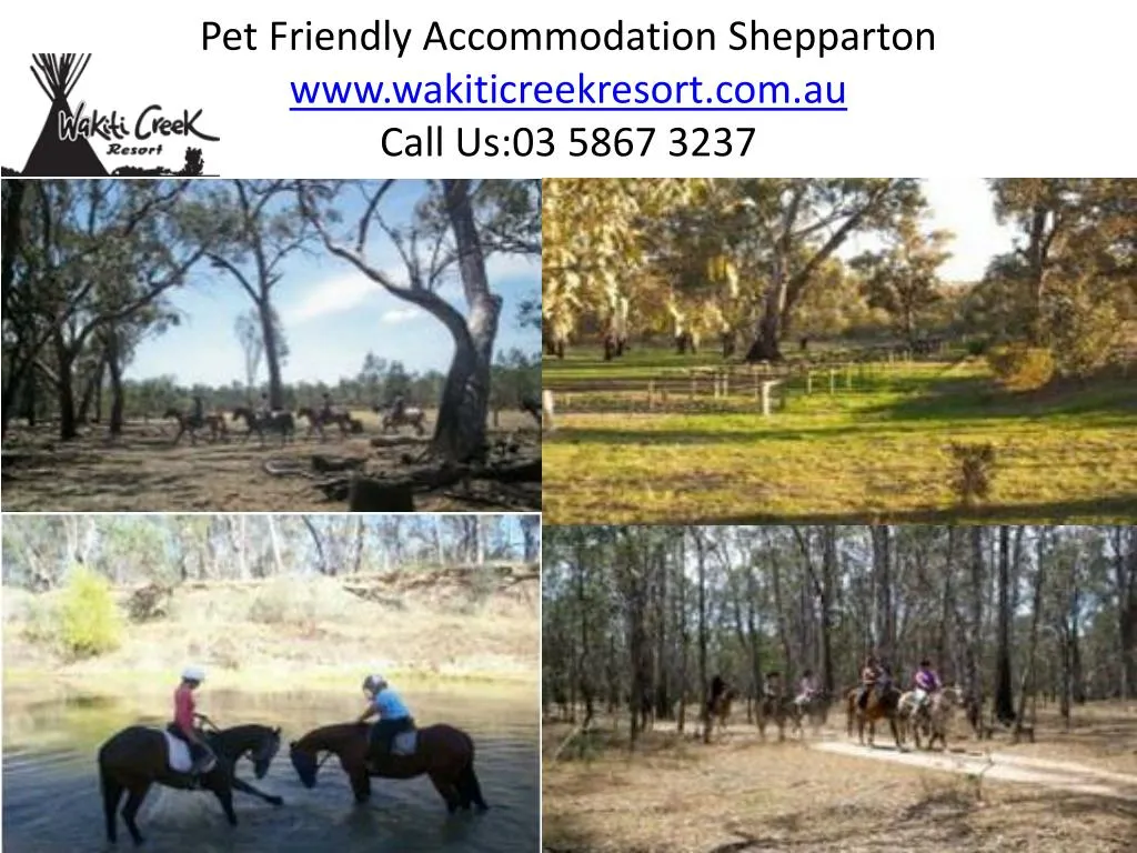 pet friendly accommodation shepparton www wakiticreekresort com au call us 03 5867 3237