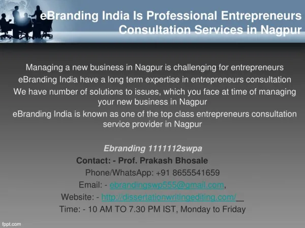Professional Entrepreneurs Consultation Services in Nagpur