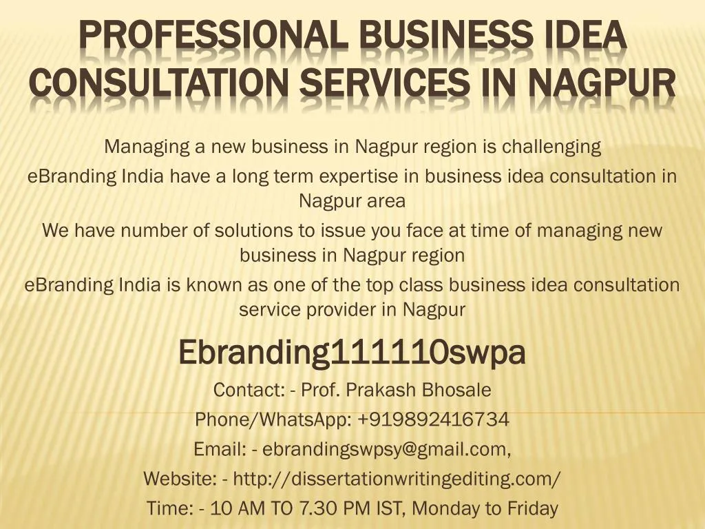 professional business idea consultation services in nagpur