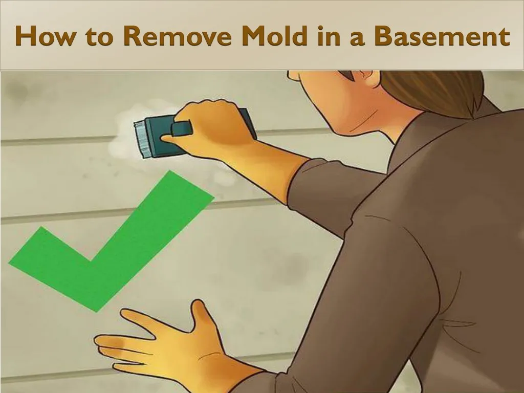 how to remove mold in a basement