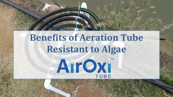 Benefits of Algae Resistant Aeration Solution - AirOxi Tube