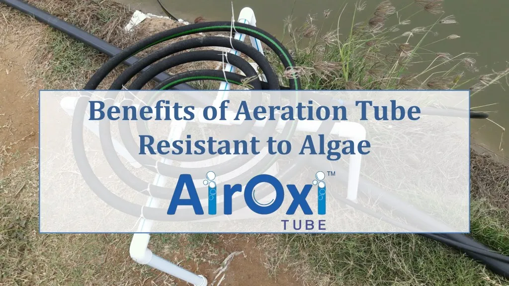 benefits of aeration tube resistant to algae