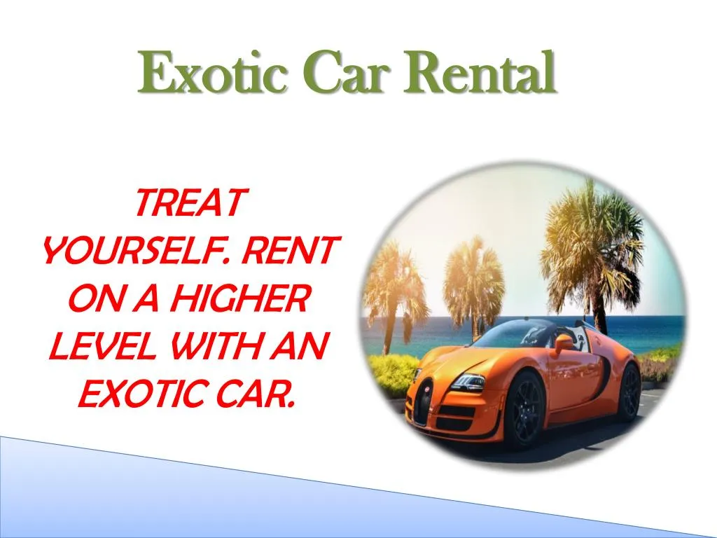 exotic car rental