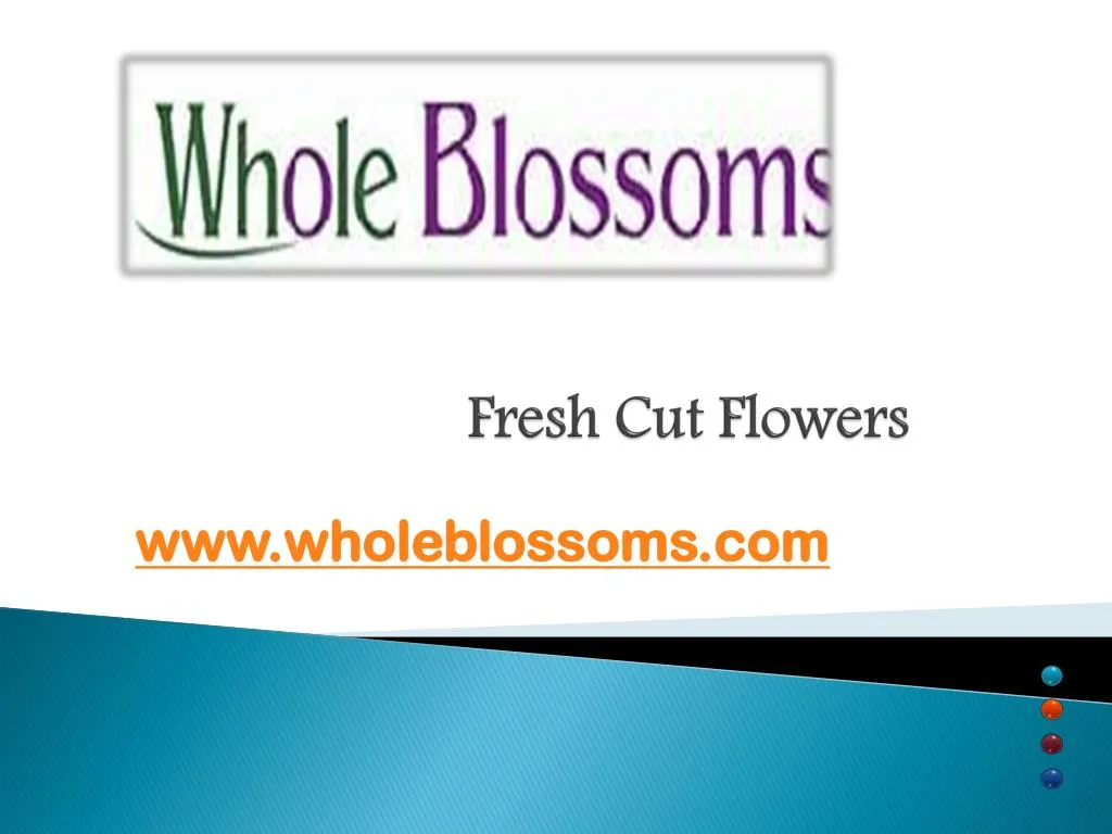 fresh cut flowers