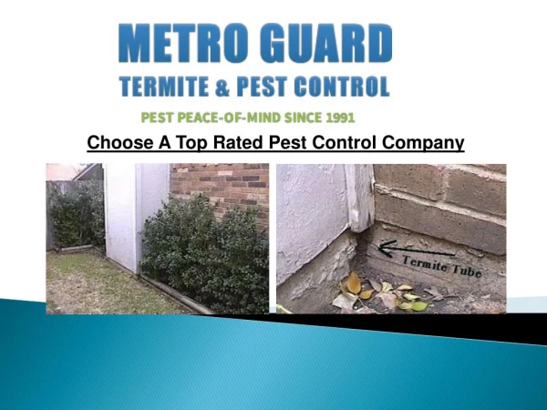 Choose A Top Rated Pest Control Company