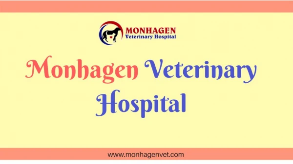 Monhagen Veterinary Hospital - Pet Services New York