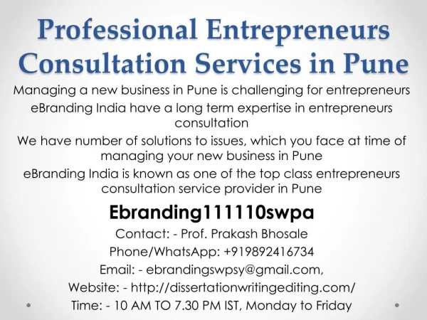 Professional Entrepreneurs Consultation Services in Pune