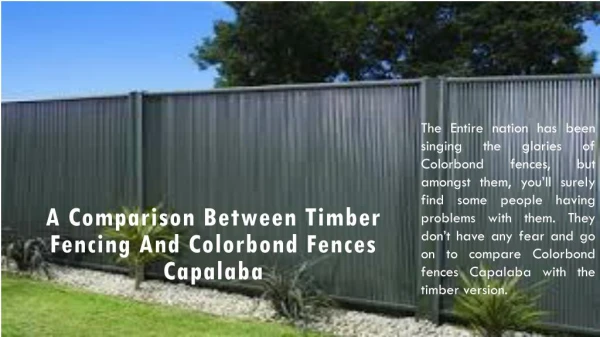 A Comparison between Timber Fencing and Colorbond Fences Capalaba