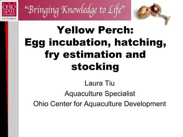 Yellow Perch: Egg incubation, hatching, fry estimation and stocking