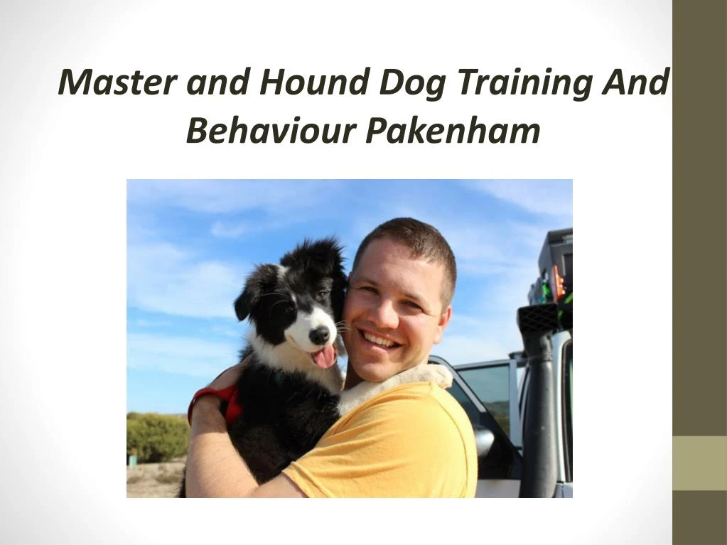 master and hound dog training and behaviour