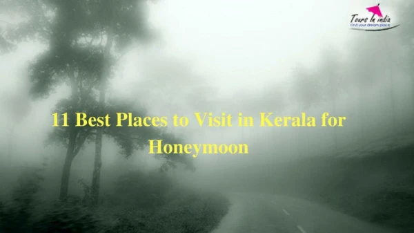 11 Best Places to Visit in Kerala for Honeymoon