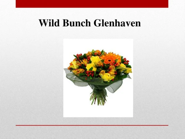 Wild bunch glenhaven