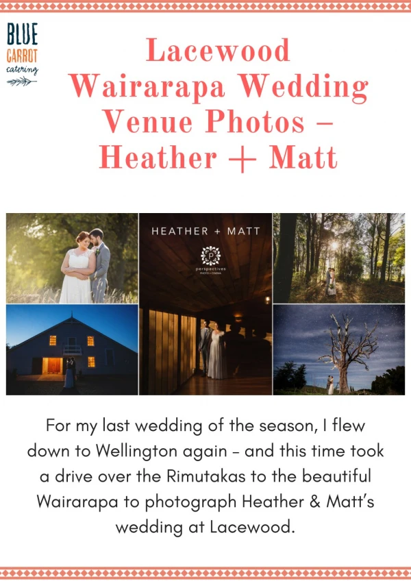 Lacewood Wairarapa Wedding Venue With Blue Carrot Catering