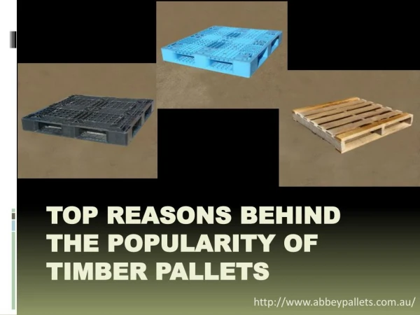 Top Reasons Behind The Popularity Of Timber Pallets