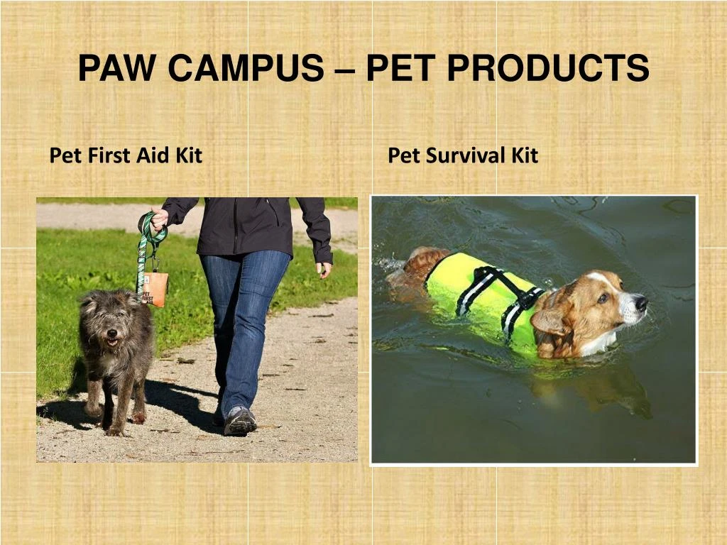 paw campus pet products