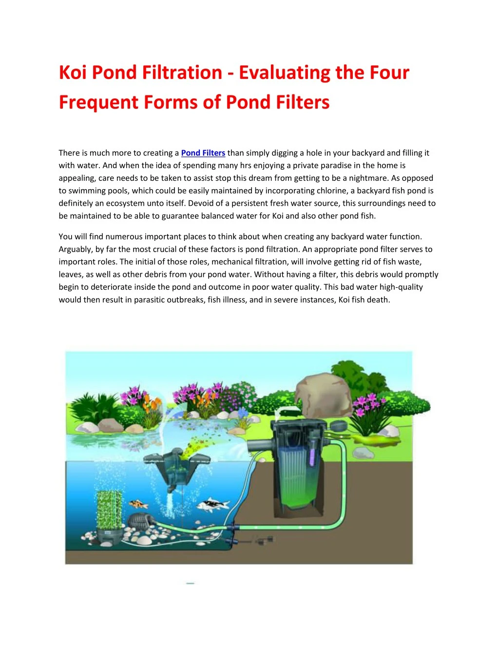 koi pond filtration evaluating the four frequent