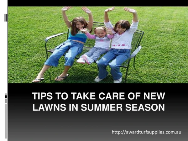 Tips To Take Care Of New Lawns In Summer Season