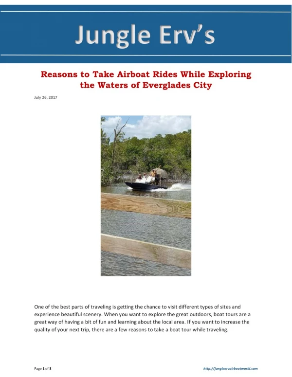Reasons to Take Airboat Rides While Exploring the Waters of Everglades City