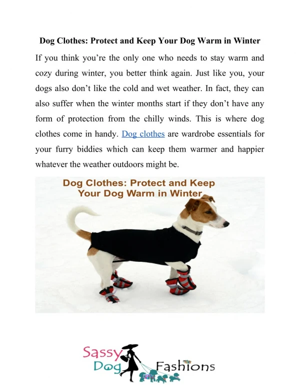 Dog Clothes: Protect and Keep Your Dog Warm in Winter