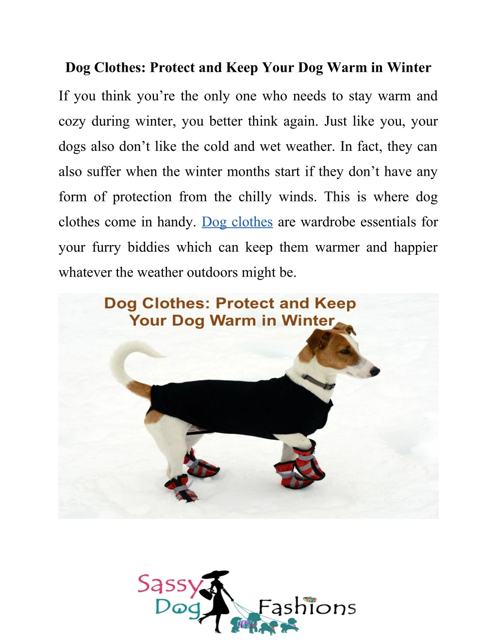 dog clothes protect and keep your dog warm
