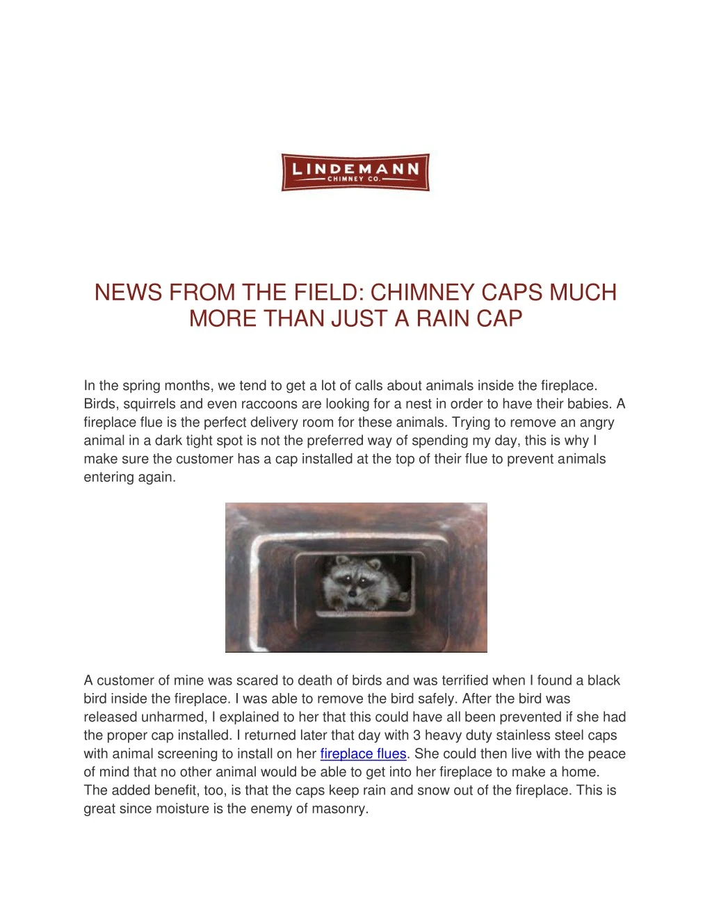 news from the field chimney caps much more than