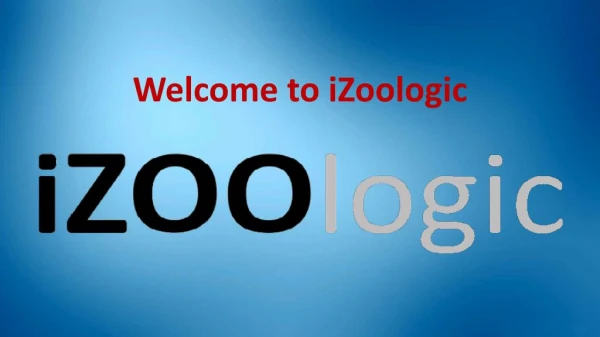 Internet Phishing | iZOOlogic