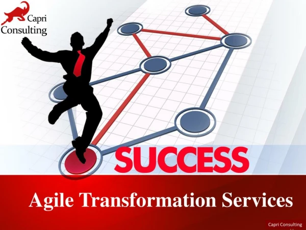 Agile Transformation Services