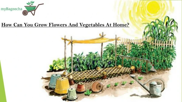 How Can you Grow Flowers and Vegetables At Home?