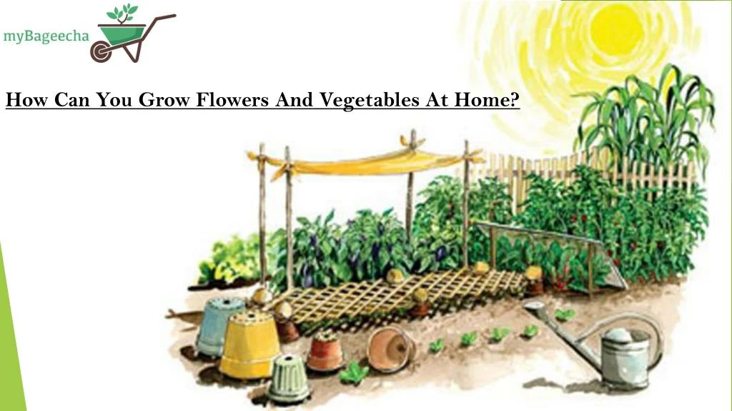 how can you grow flowers and vegetables at home