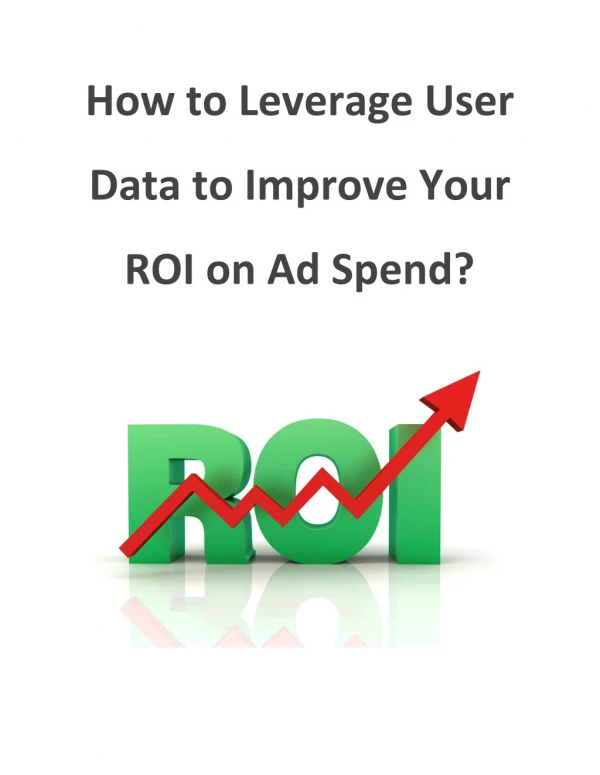 How to Leverage User Data to Improve Your ROI on Ad Spend?