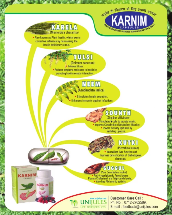 Karnim Capsule - Composition and Ingredients