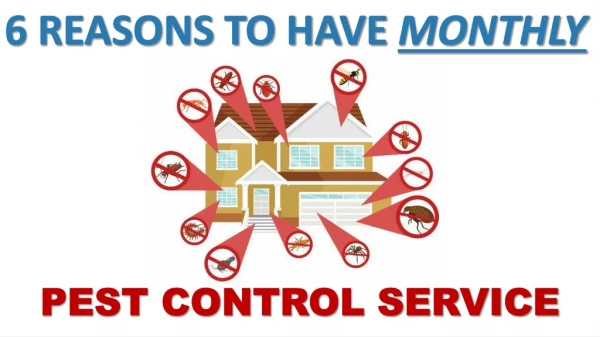 The Benefits of Monthly Pest Control Service