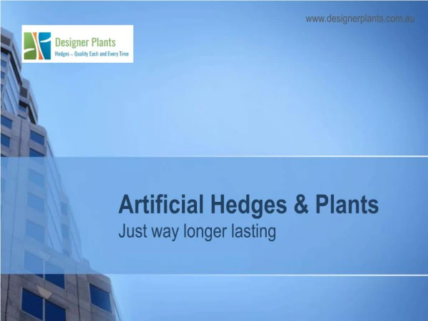 Fake Plants and box Hedges – Designerplants
